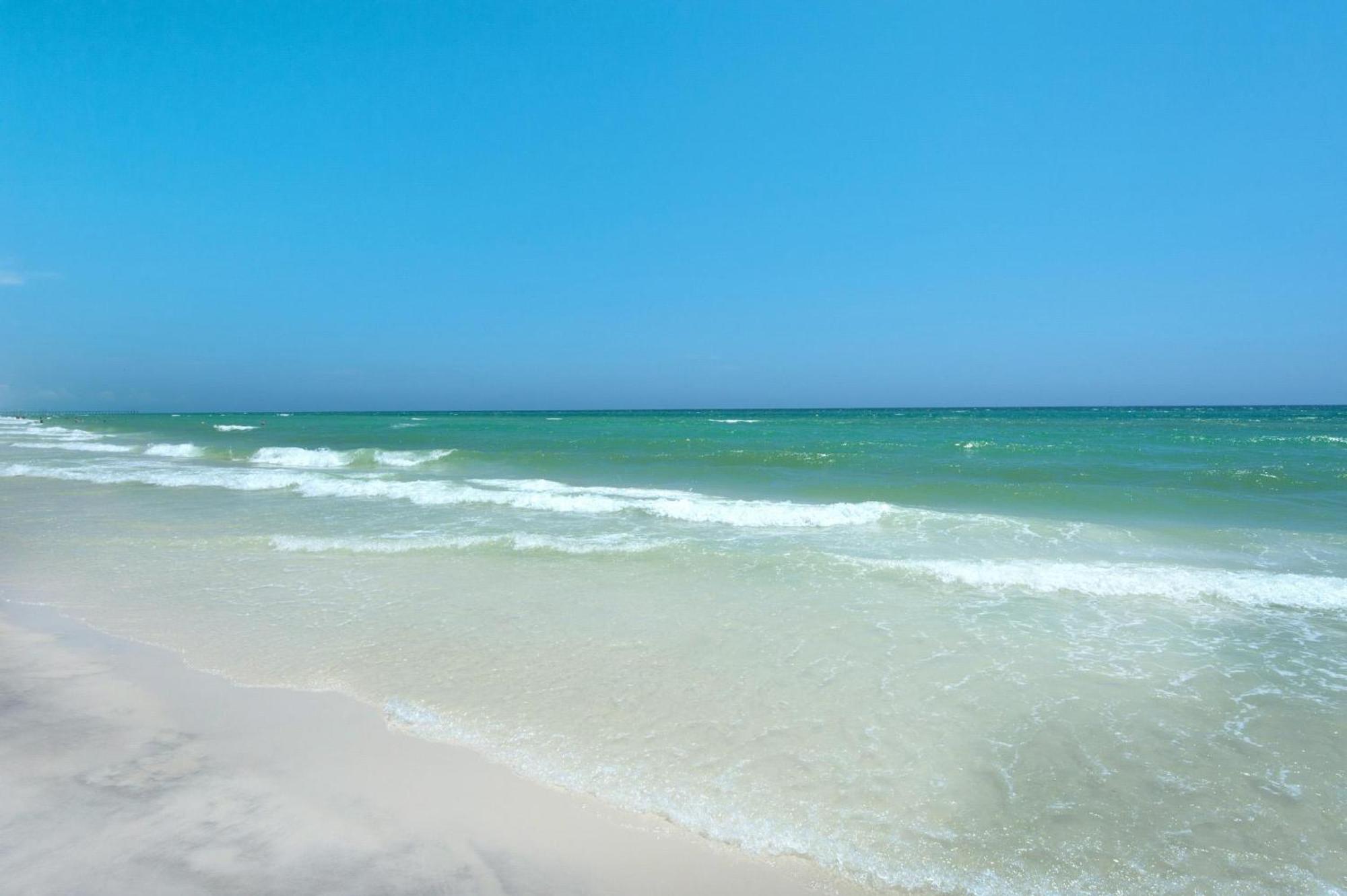 Calypso 1-608 East Lejlighedshotel Panama City Beach Eksteriør billede